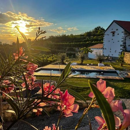 Skerlj Wine Estate Guest House Tomaj Eksteriør bilde