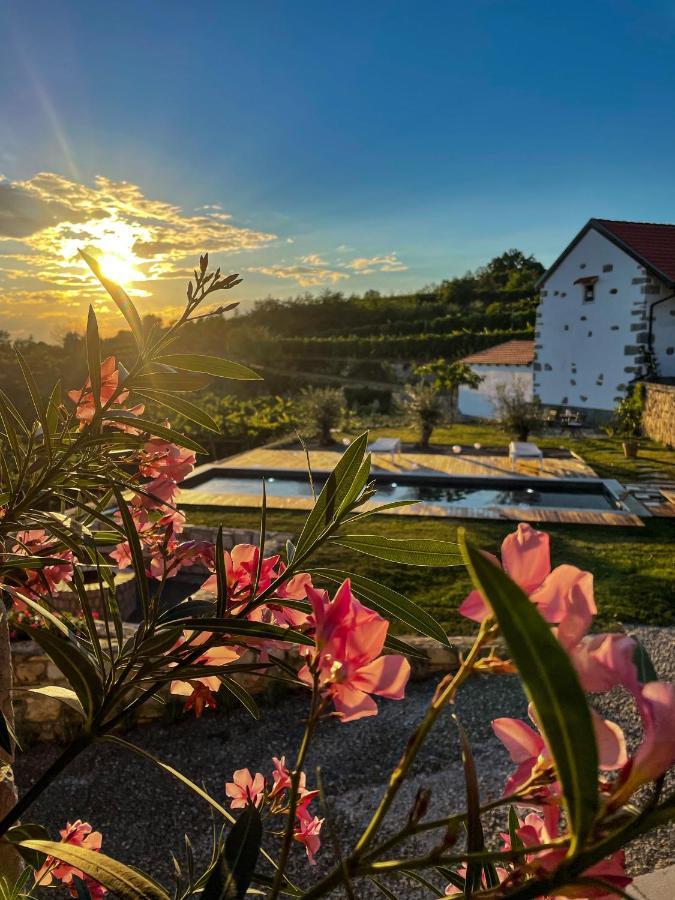 Skerlj Wine Estate Guest House Tomaj Eksteriør bilde