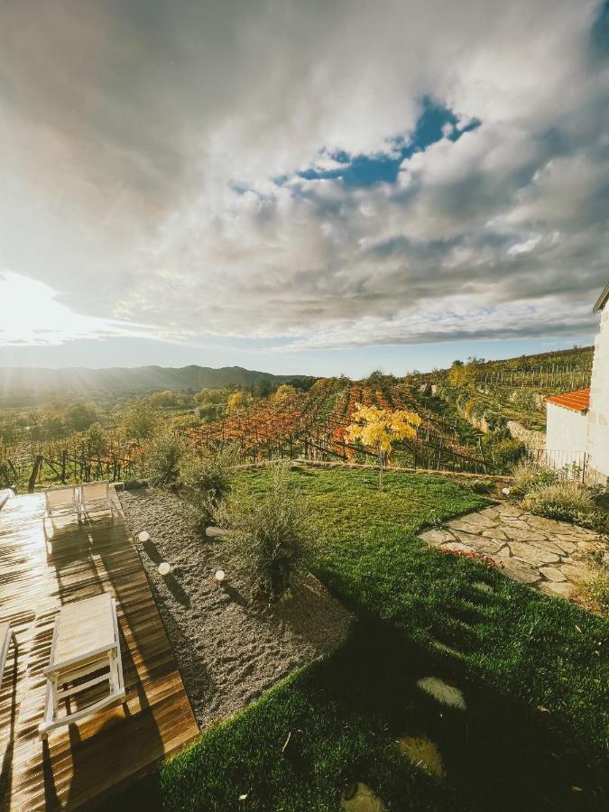 Skerlj Wine Estate Guest House Tomaj Eksteriør bilde